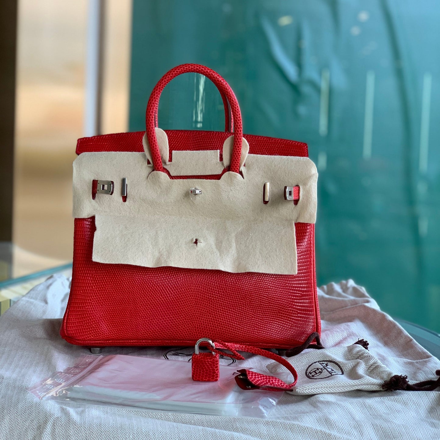 Hermès Birkin 25 Lizard